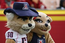 University of Arizona Wilbur Wildcat the Mascot University of Arizona Wilbur Wildcat the Mascot